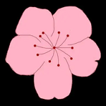 WWW,se953·COM网站APPAPP应用